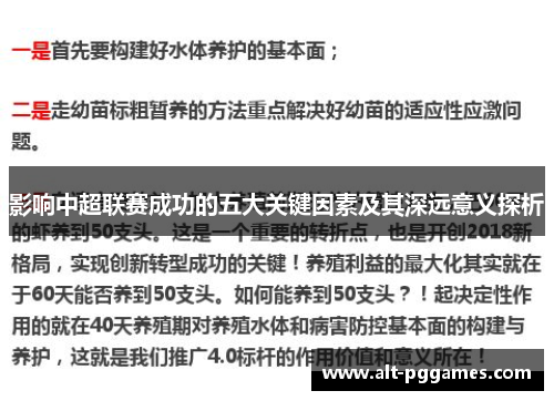 影响中超联赛成功的五大关键因素及其深远意义探析