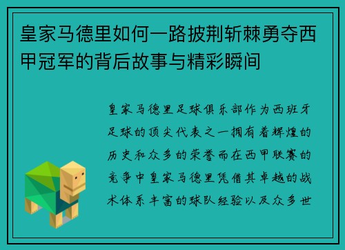 皇家马德里如何一路披荆斩棘勇夺西甲冠军的背后故事与精彩瞬间