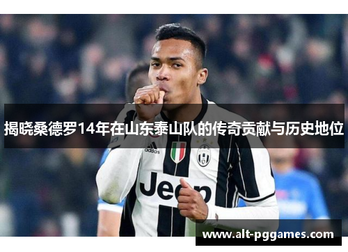 揭晓桑德罗14年在山东泰山队的传奇贡献与历史地位