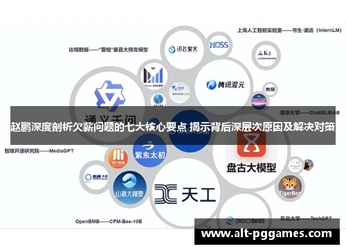 赵鹏深度剖析欠薪问题的七大核心要点 揭示背后深层次原因及解决对策