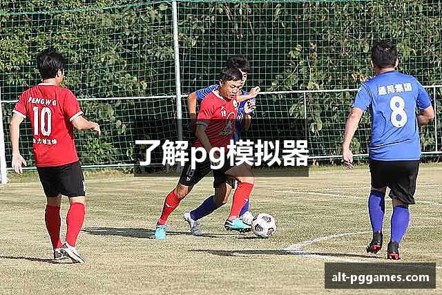 了解pg模拟器